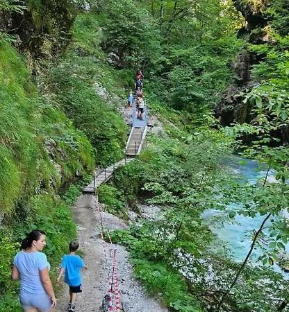 アパート La Vida 1