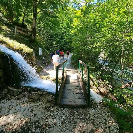 شقة La Vida 1 كلاغنفورت