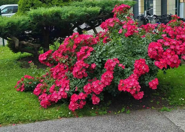 La Vida 1 Apartamento *